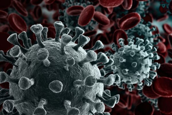 Virus