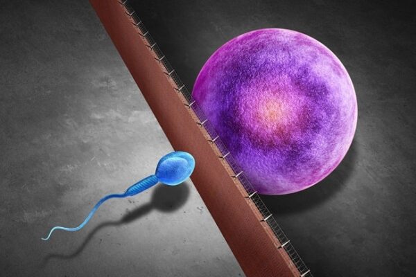 Mengenal Lebih Dekat Infertilitas dan Penyebabnya infertilitas