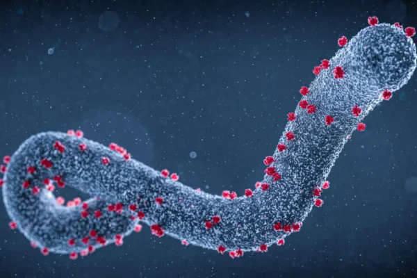 Marburg Virus Disease