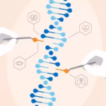 Pengeditan Gen CRISPR