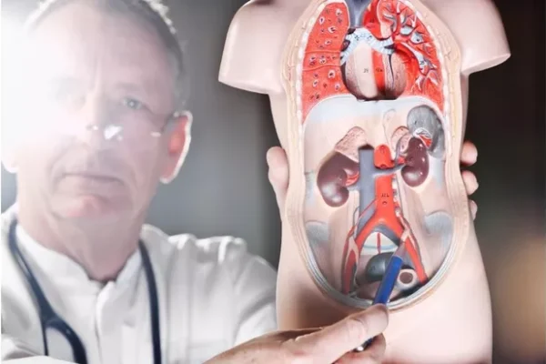 ureter kiri