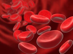 penyakit anemia