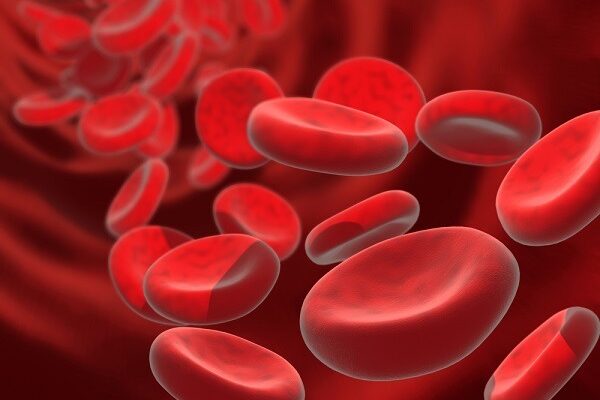penyakit anemia