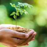 hidup ramah lingkungan