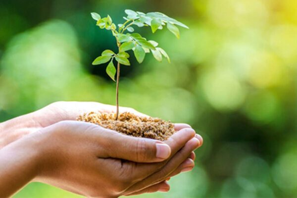 hidup ramah lingkungan