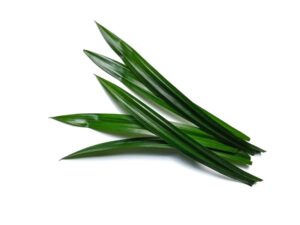 Daun pandan