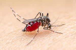 penyakit Malaria