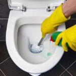 cairan pembersih toilet