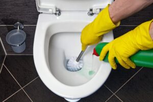 cairan pembersih toilet