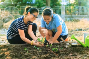 berkebun