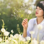Dandelion