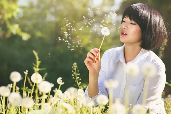 Dandelion