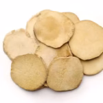 Alisma Rhizome