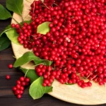 Schisandra Berry
