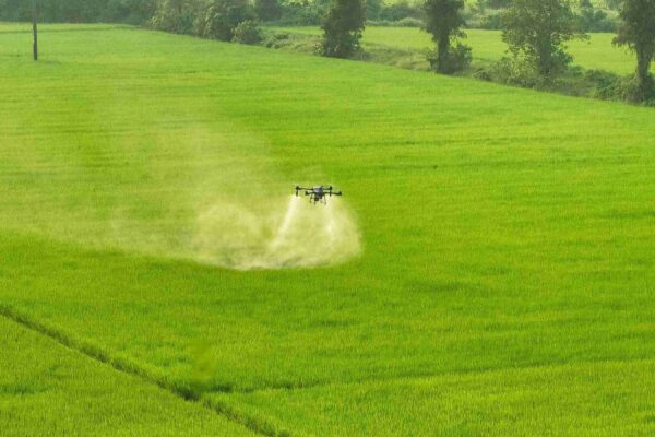 drone pertanian