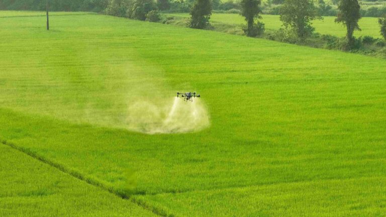Drone Pertanian Inovasi Modern yang Membantu Petani Lebih Produktif