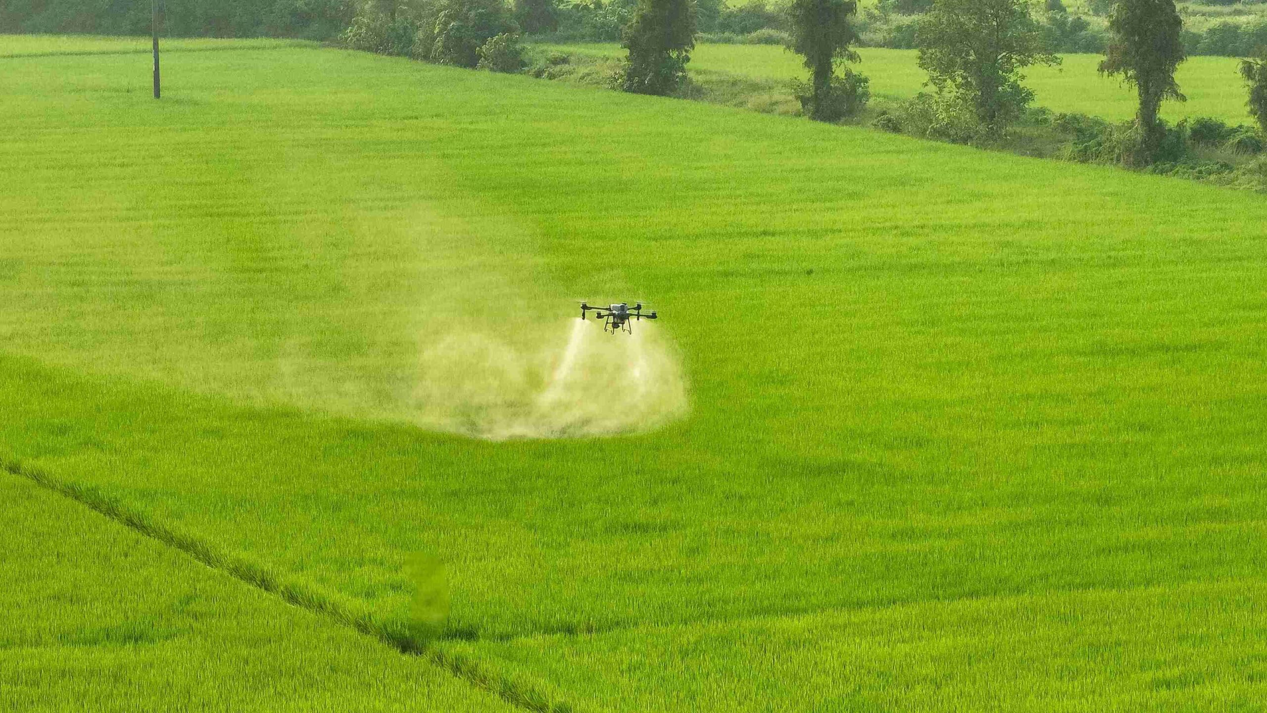drone pertanian