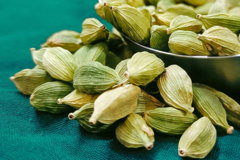 Cardamom: Rempah Aromatik yang Kaya Manfaat untuk Kesehatan dan Kuliner
