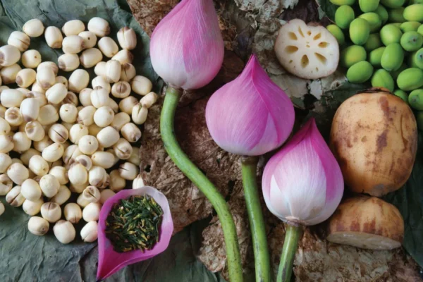 Lotus Seed