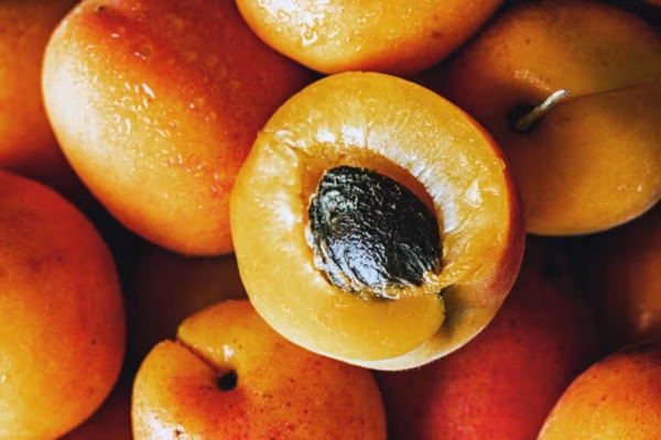Apricot Seed