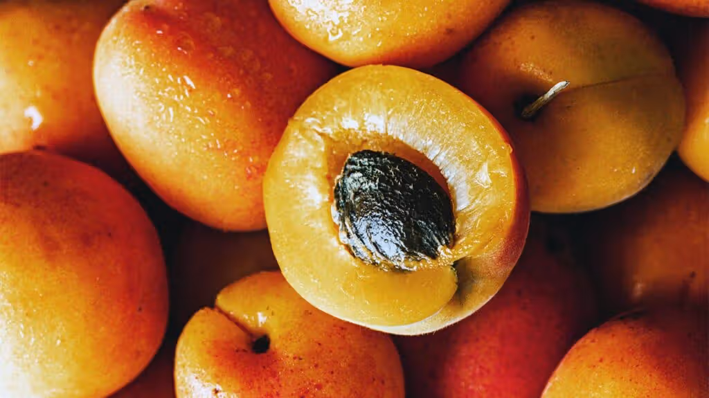 Apricot Seed
