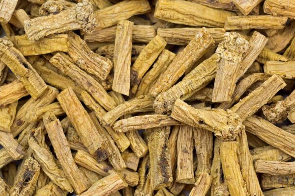 Codonopsis Root