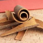 Cinnamon Twig
