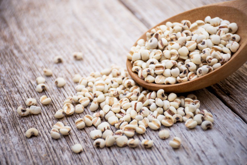 Coix Seed