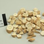 Isatis Root