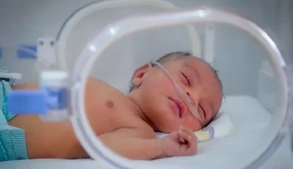 Inkubator Bayi Pintar