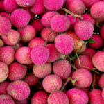 Longan Fruit