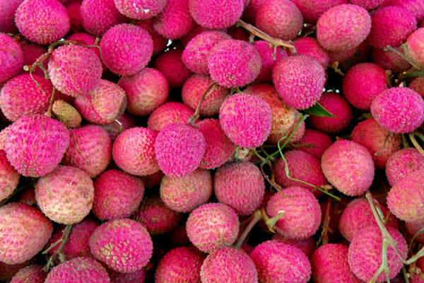 Longan Fruit
