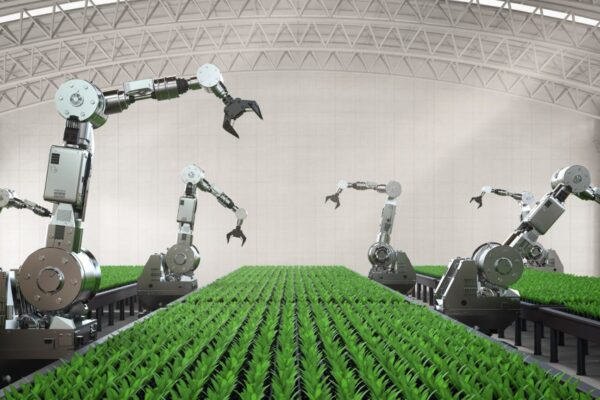 robot penanam benih