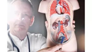 ureter kiri