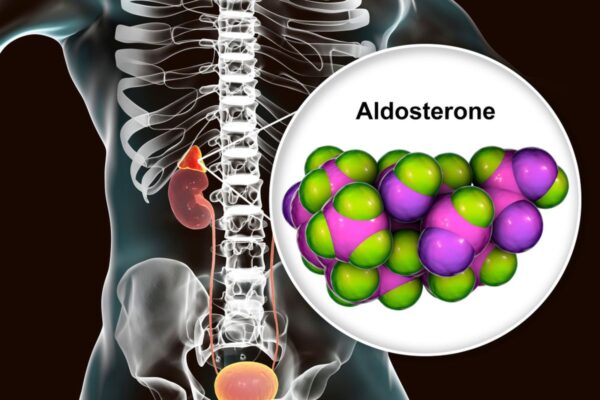 aldosteron