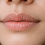 Bibir