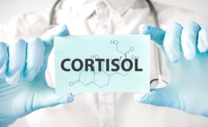 Kortisol