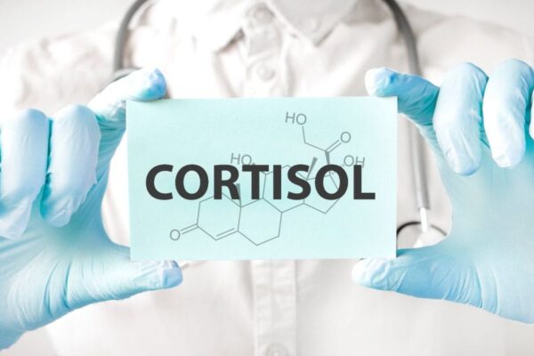 Kortisol