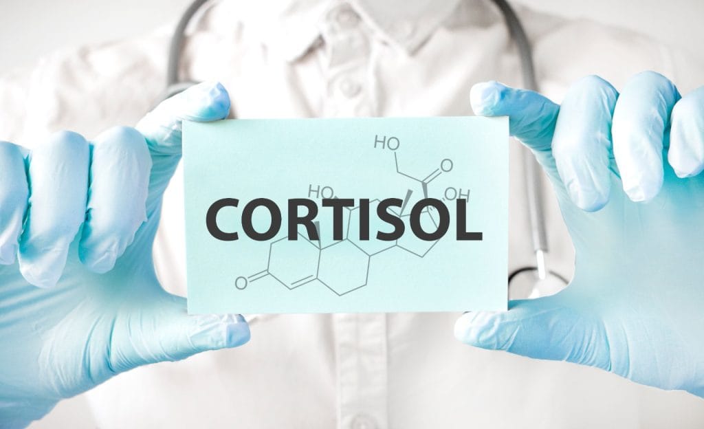 Kortisol
