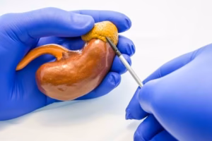 kelenjar adrenal