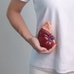 ginjal kiri