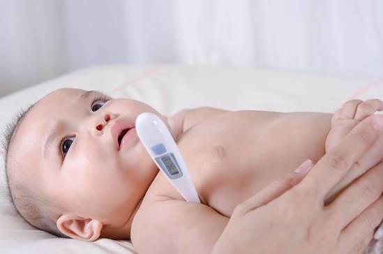 termometer bayi